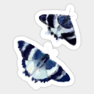 Tropical blue night moth Sticker